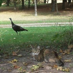 Meet your Posher, Tracy